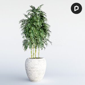 RT3Dmodels_02900