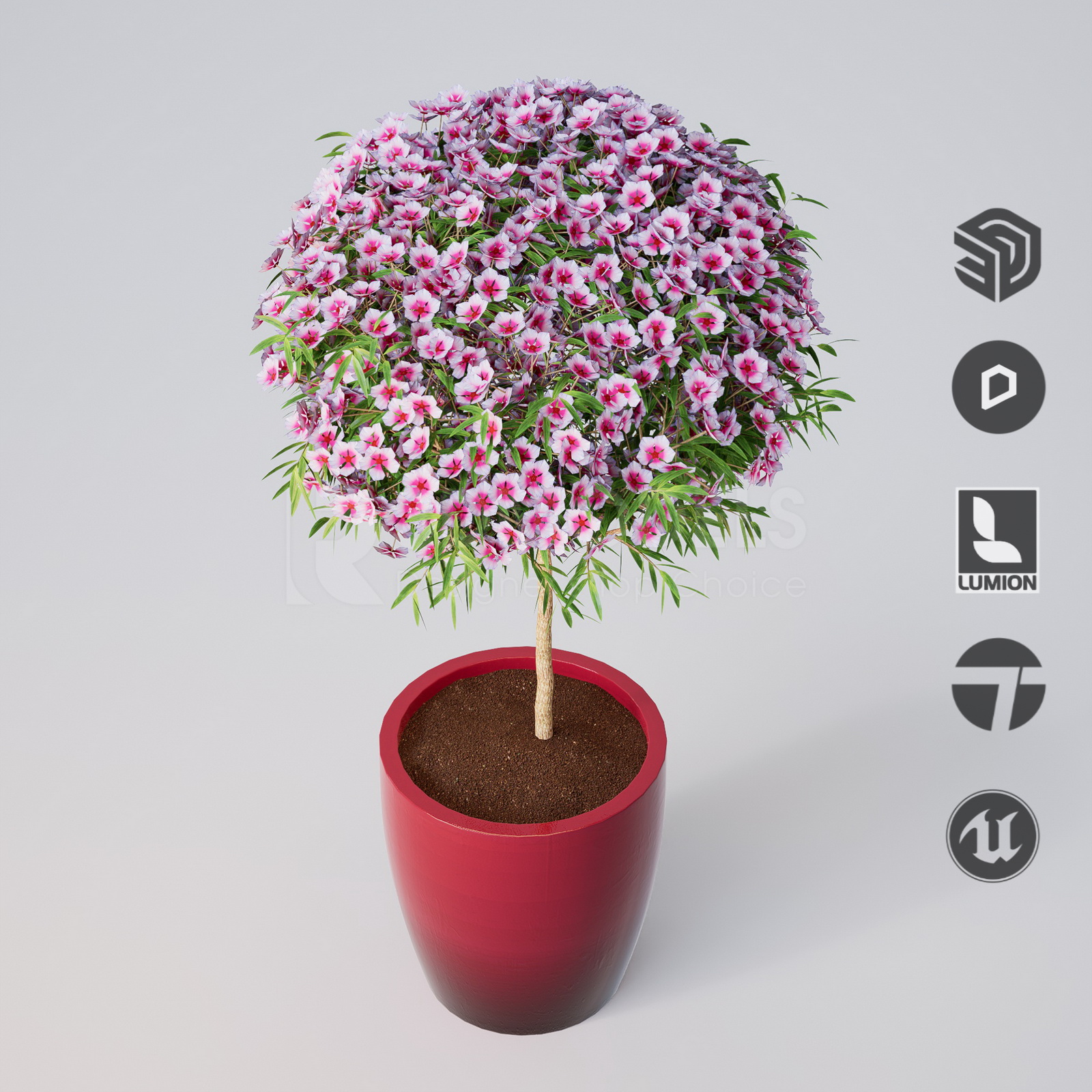 Realtime3d-00431