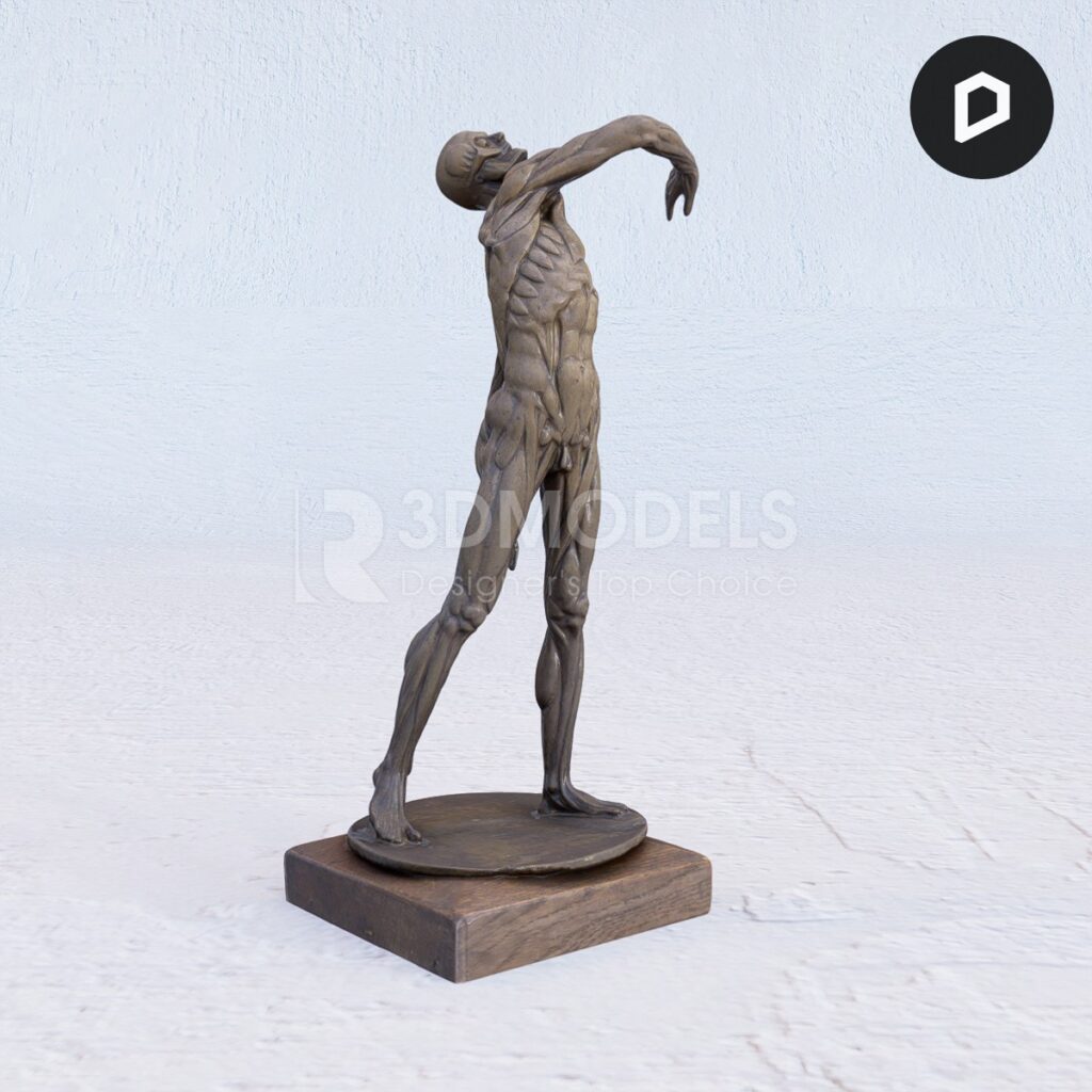 RT3Dmodels_02901
