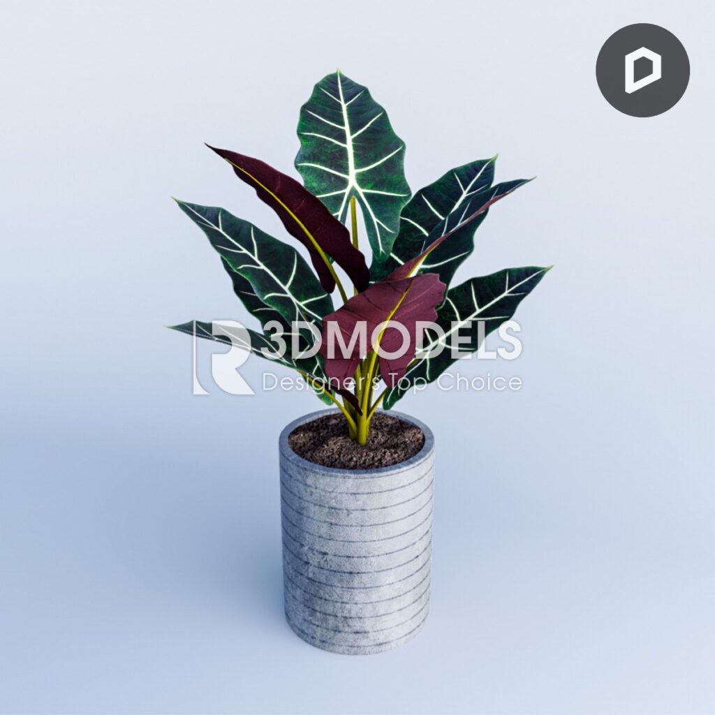 RT3Dmodels_03415