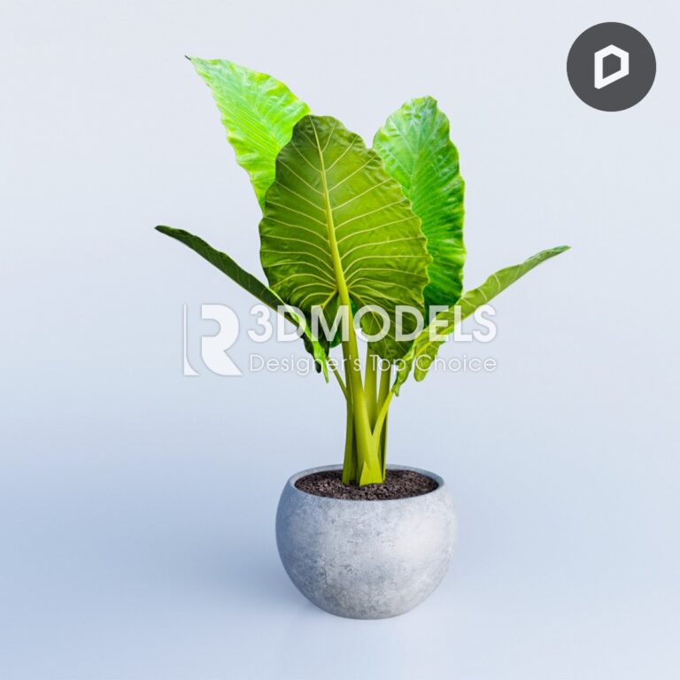 RT3Dmodels_03417
