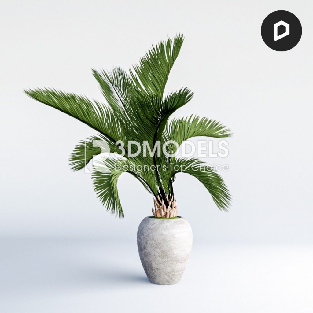 RT3Dmodels_04042