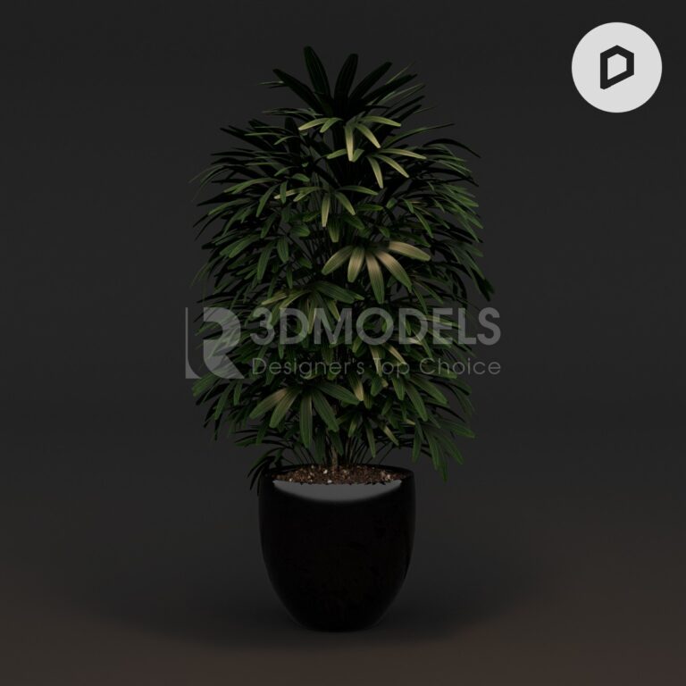 RT3Dmodels_04062