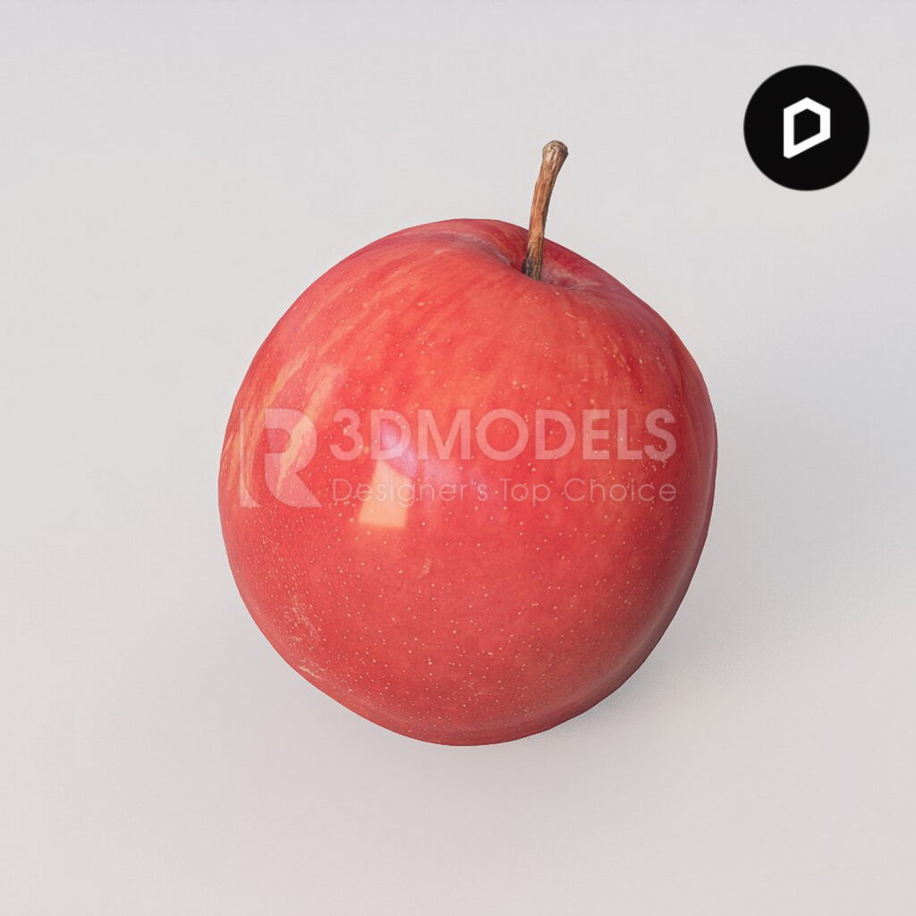 RT3Dmodels_06078