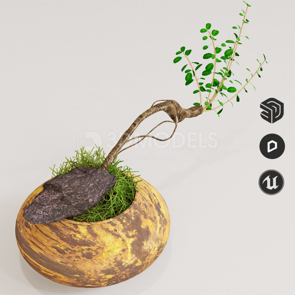 RT3Dmodels Decorative set_06622